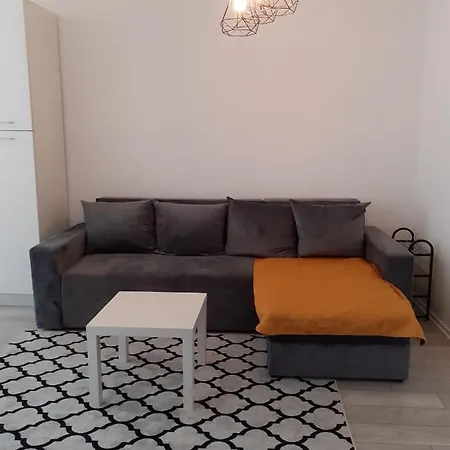 Apartament De Lux Cu Curte Si Parcare * 클루지나포카